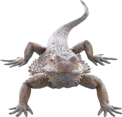 Sikkert og egnet til børn fra 3 år