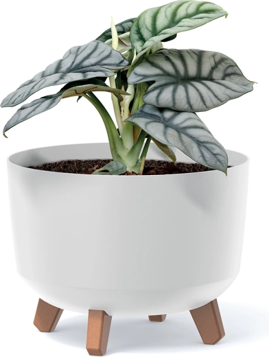 Moderne design med øget stabilitet