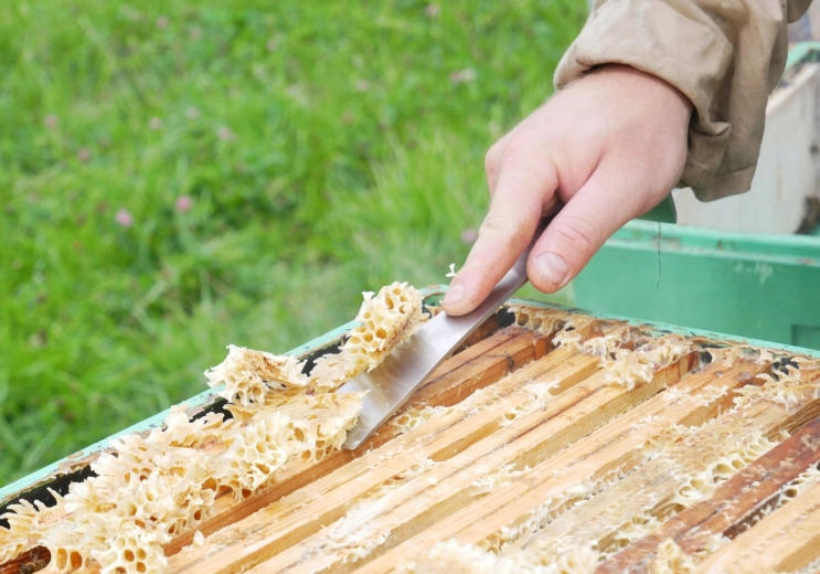Præcis afskrabning af voks og propolis
