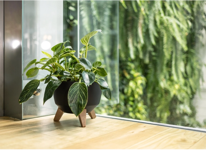 Elegant look i ethvert rum