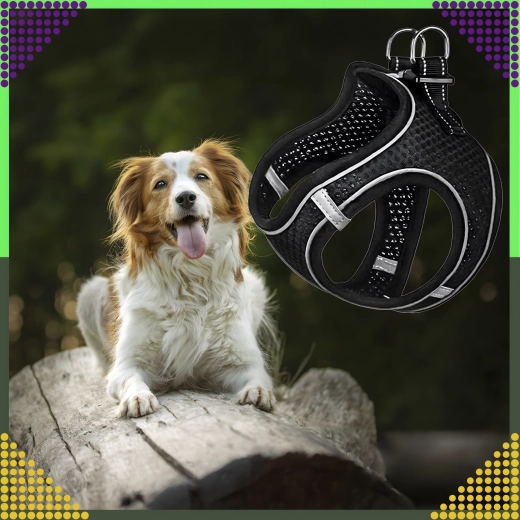 Høj synlighed takket være reflekterende elementer