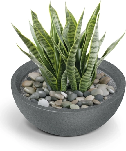 Ideel til attraktive arrangementer