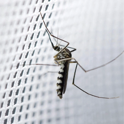 Effektiv barriere mod myg og insekter