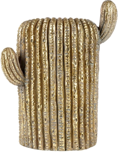 Realistisk kaktustekstur