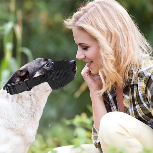 Sikkerhed ved træning og hos dyrlægen
