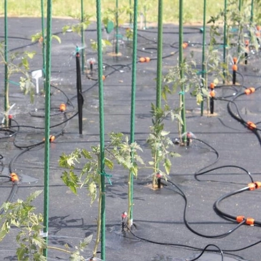 Nem installation og ren vandfordeling