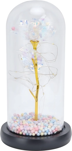 Glaskuppel beskytter og pynter