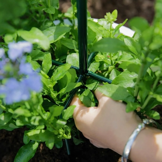 Stabil støtte for sund vækst