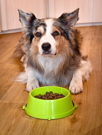 Velegnet til både vand og foder