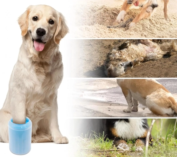 Rent bilsæde og gulv efter hver gåtur