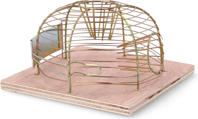 Human og sikker indfangning