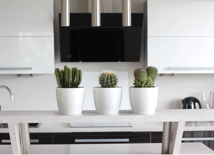 Alsidig til både inde og ude