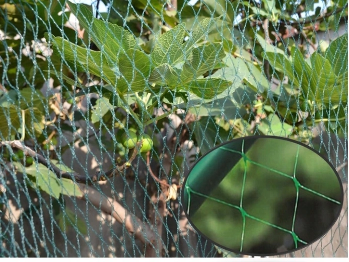 Fint net til pålidelig beskyttelse af høsten