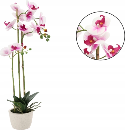 Ingen bekymringer om pleje