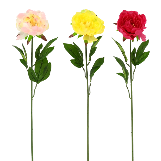 Realistisk skønhed uden vedligeholdelse