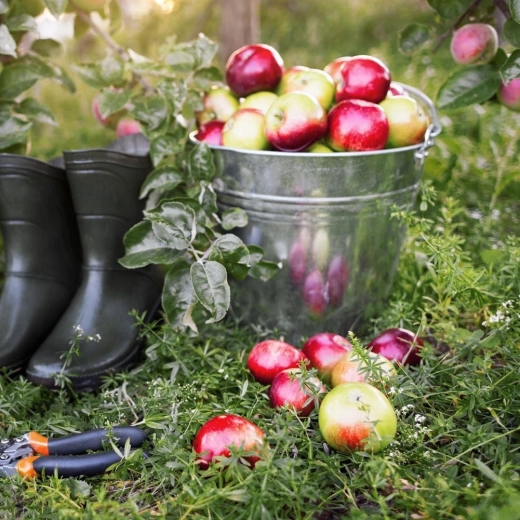 Bred anvendelse i hjemmet og i haven