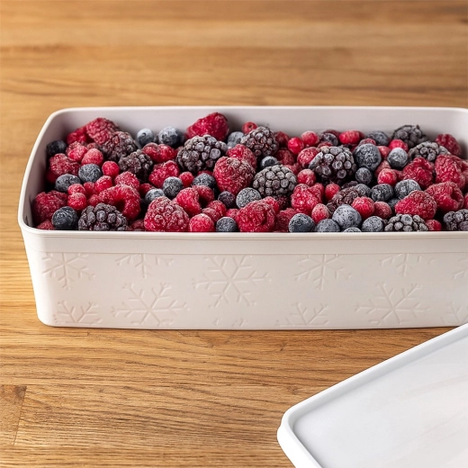 Sikker nedfrysning og organisering