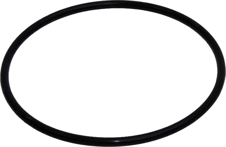 O-ring pakning til Prostar 2 filterbeholder