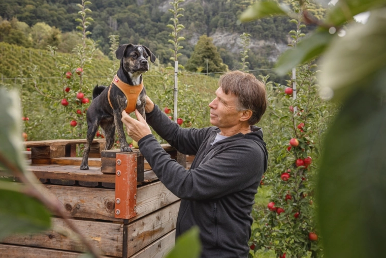 Nem lukning med én hånd