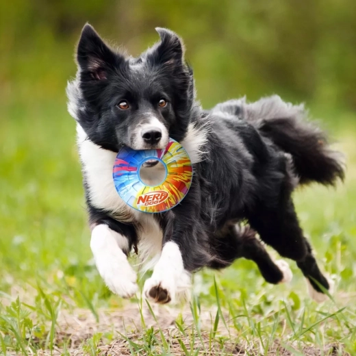 Pivelyd der øger motivationen for leg