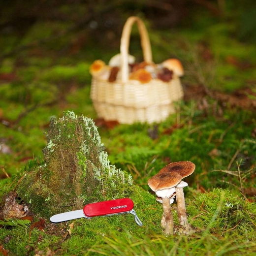 Licenseret VICTORINOX-design