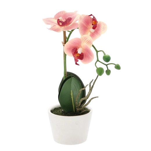 Kompakt dekoration til alle rum