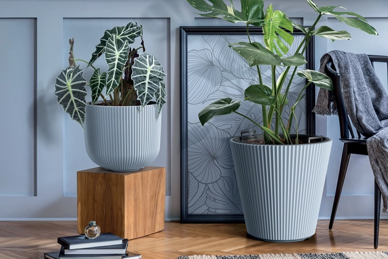 Moderne rillet udseende