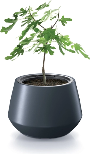 Kompakt løsning til mindre og voksende planter