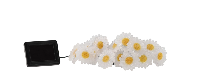 Magisk blomsterstemning