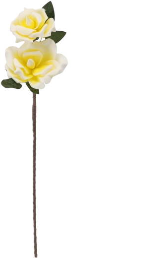 To blomster på én stilk for et fyldigere udtryk