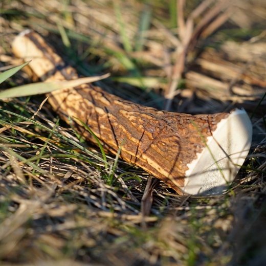 Bæredygtigt og naturligt produkt