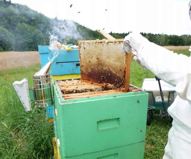 Ideel hjælper ved honninghøst