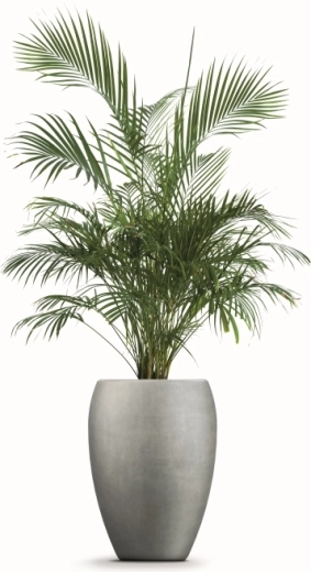 Plads til sund plantevækst