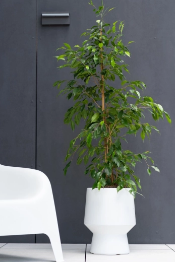 Praktisk indvendig indsats