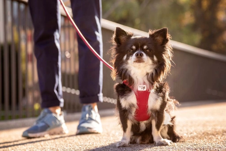 Åndbar Air-Mesh med kølende effekt