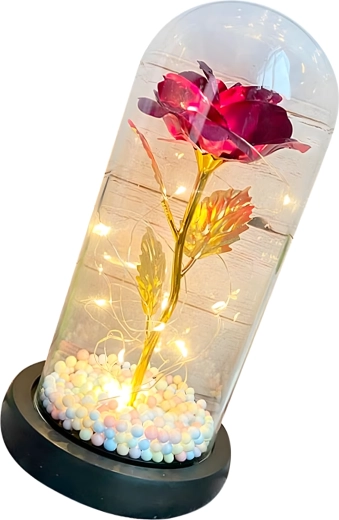 Beskyttende glasklokke