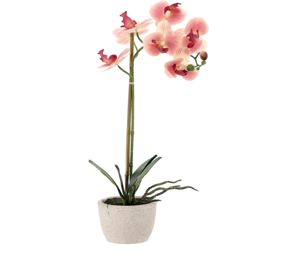 Vedligeholdelsesfri året rundt