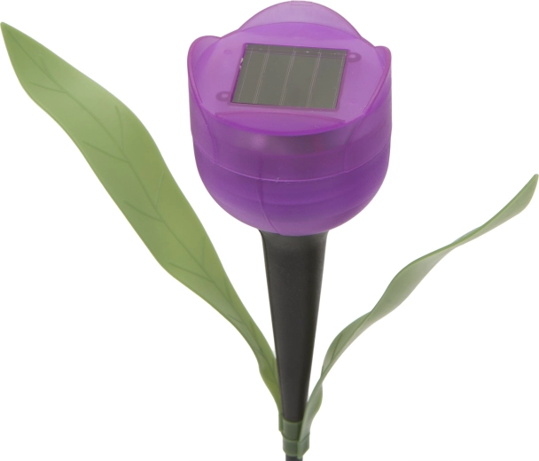 Automatisk solbelysning