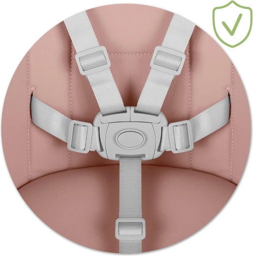 Maksimal sikkerhed med 5-punkts sele