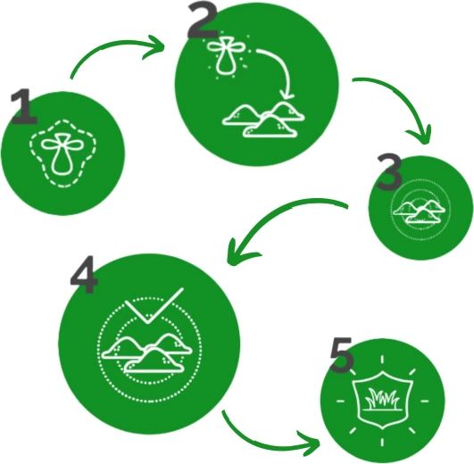 Nem trin-for-trin anvendelse