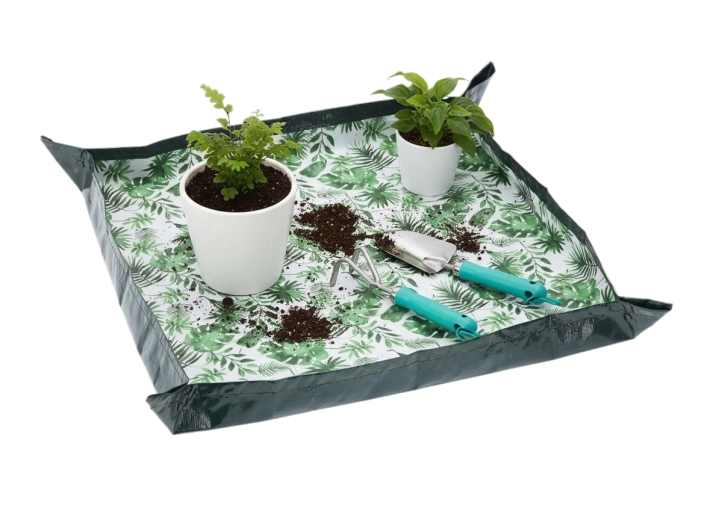 Ren ompotning uden rod