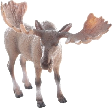 Realistisk udførelse for en autentisk oplevelse