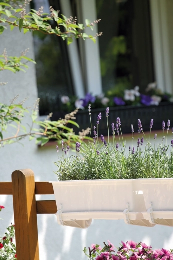 Optimal placering til længere altankasser