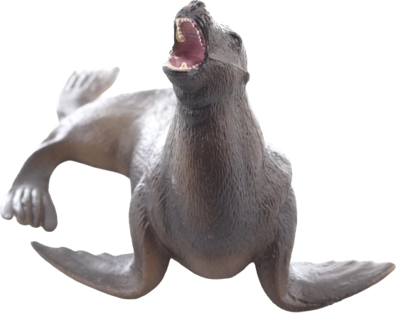 Perfekt til at lære om havdyr