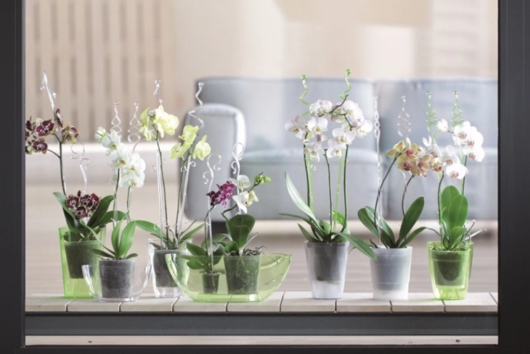 Velegnet til indendørs dyrkning