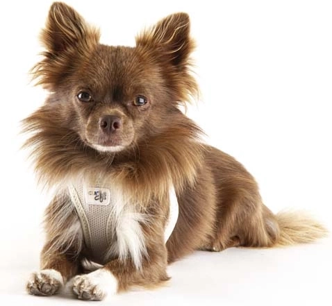 Ergonomisk snit uden tryk på halsen