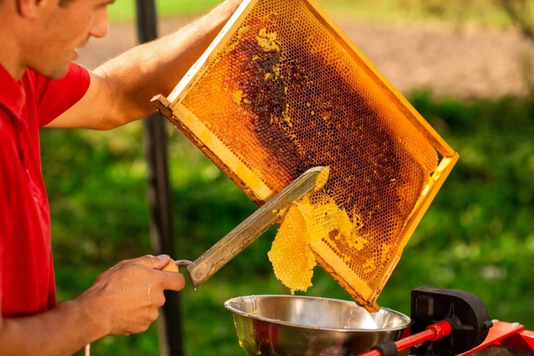 Ideel til afkappning af tavler