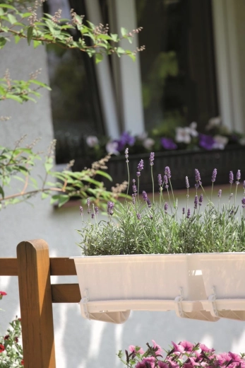 Praktisk montering på gelænder og placering på vindueskarm