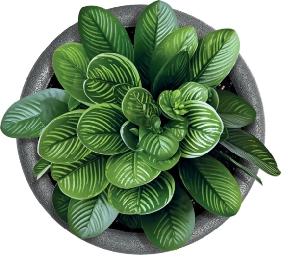 Ideel til stue- og udendørsplanter