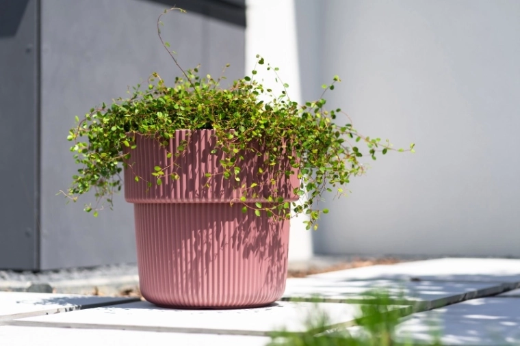 Dekorativt rillet design